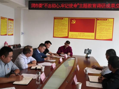 智慧黨建平臺推進(jìn)主題教育