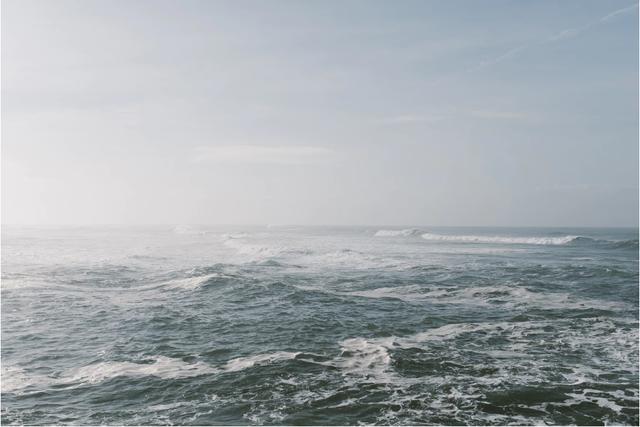 山東能源臨礦集團(tuán)：黨建工作標(biāo)準(zhǔn)化是這樣煉成的