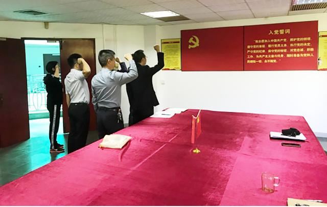 黨日活動(dòng)丨黨建“亮”起來