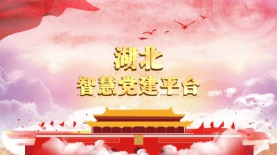 湖北智慧黨建平臺(tái) 湖北省智慧黨建平臺(tái)