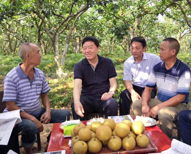 企業(yè)先鋒｜農(nóng)發(fā)行：“智慧黨建”推動黨建工作走深走實