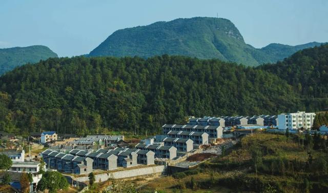 企業(yè)先鋒｜農(nóng)發(fā)行：“智慧黨建”推動黨建工作走深走實