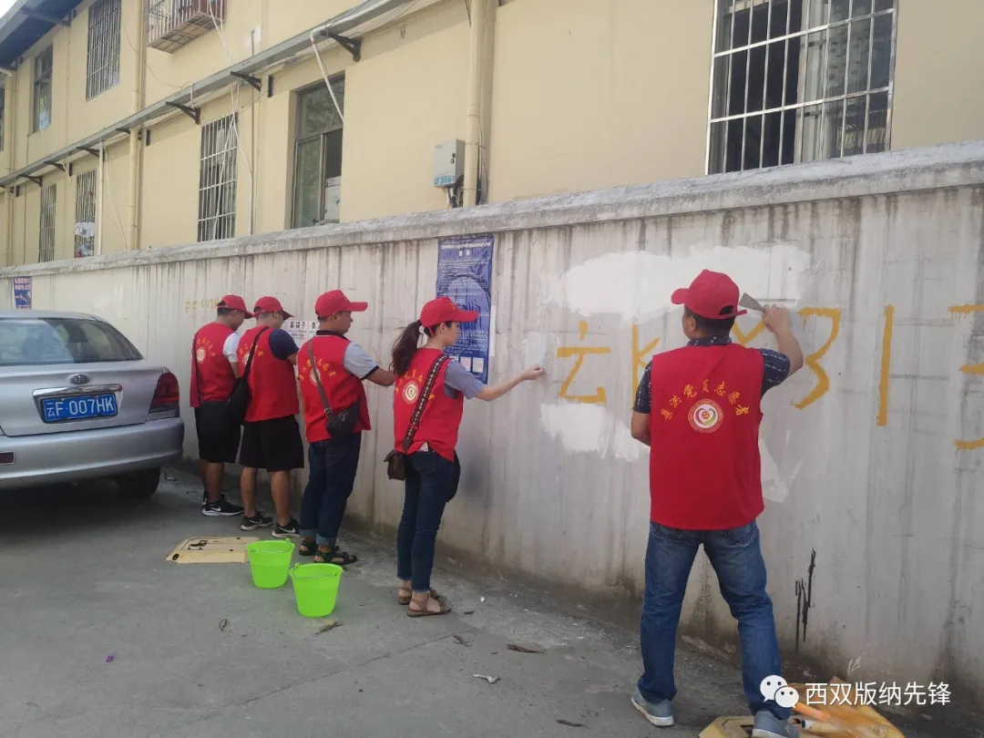 景洪市：聚“力”推進“智慧黨建”