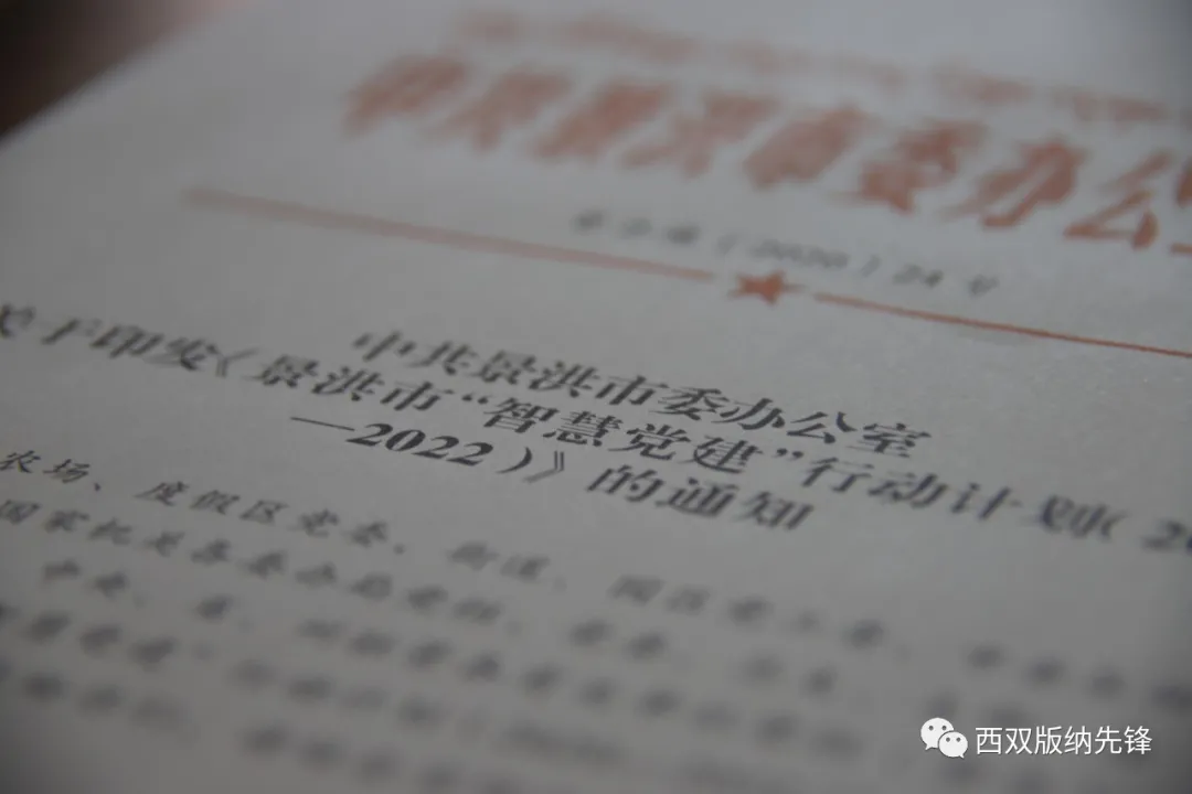 景洪市：聚“力”推進“智慧黨建”