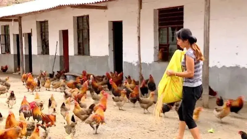 綠春縣：三個突出，實現“智慧黨建”真智慧