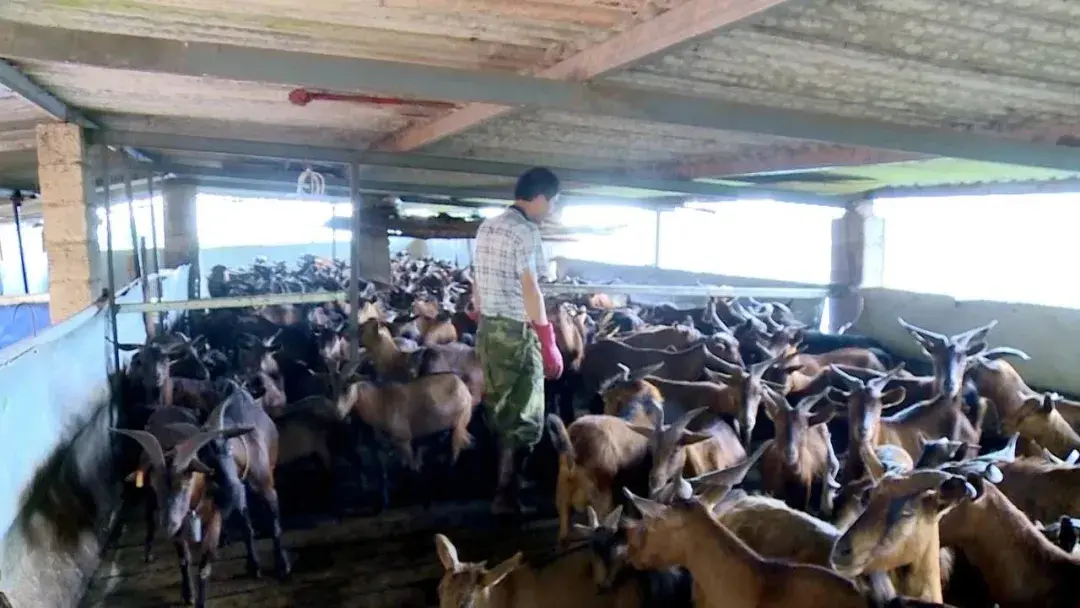 綠春縣：三個突出，實現“智慧黨建”真智慧