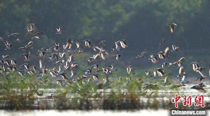 2021大事前瞻：建黨100周年“十四五”開局