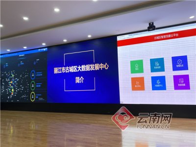 麗江走出智慧黨建新路子