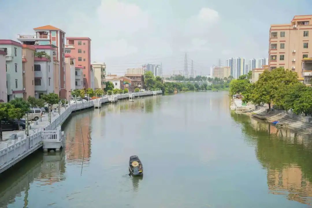 小區議事協商難？禪城“智慧黨建”破解困局 | 堤田涌整治，靚了河道甜了人心